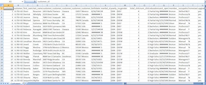 clean and format your excel or CSV data