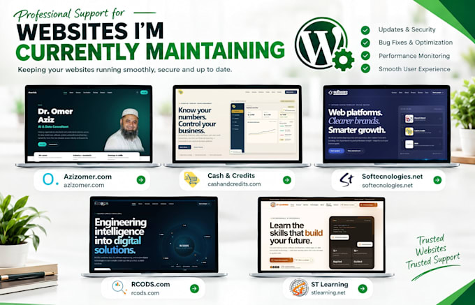 fix wordpress bugs errors and website problems