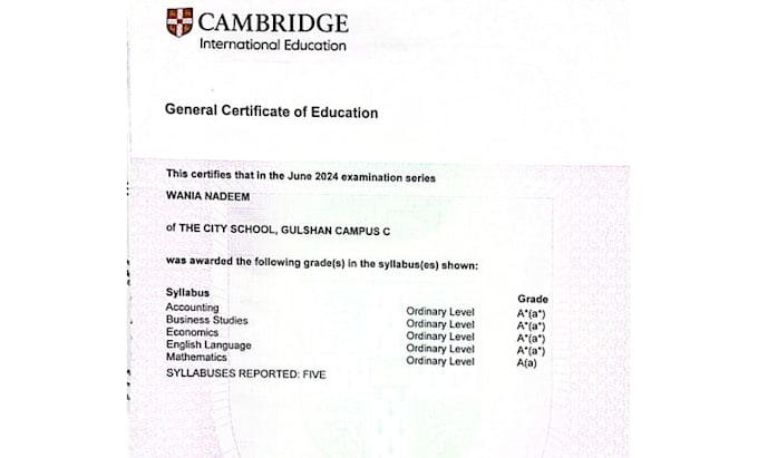 tutor you accounting, business, maths for o or a levels