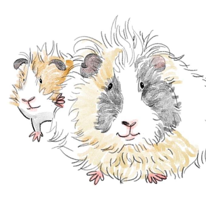 draw your pet in this style