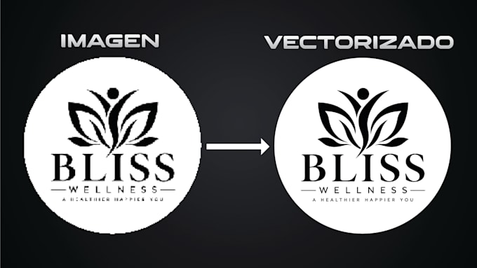 vectorizaré tu imagen o logo en illustrator