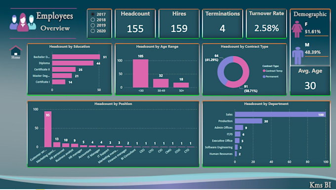 create professional HR excel dashboards and mis reports