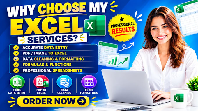do manual data entry and organize excel spreadsheets