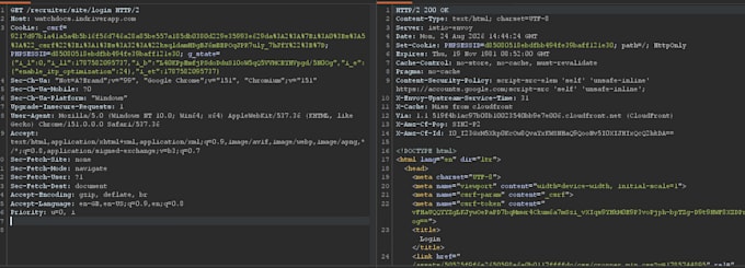 perform web application penetration testing