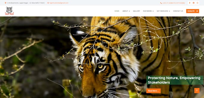 develop PHP and laravel website, cms, dashboard analytics