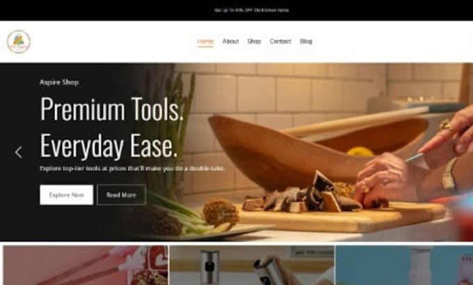 design and develop a professional shopify online store