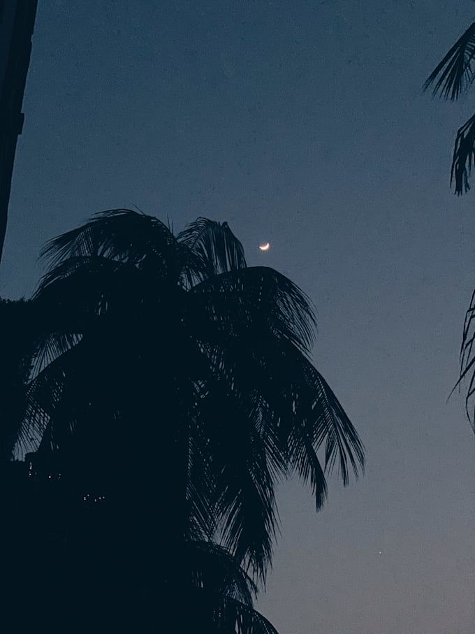 try to provide excellent photography