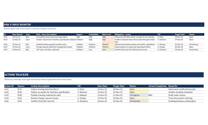 provide professional project management and pmo consulting