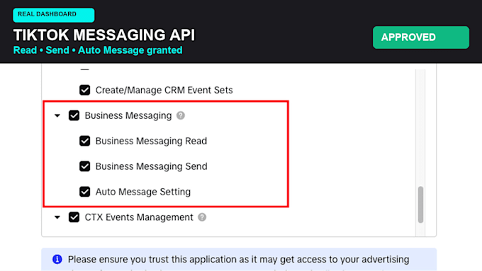 get tiktok ads and business messaging api approval