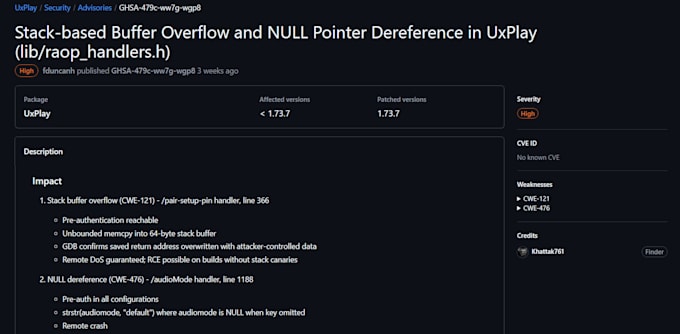 perform web and API penetration testing with detailed report