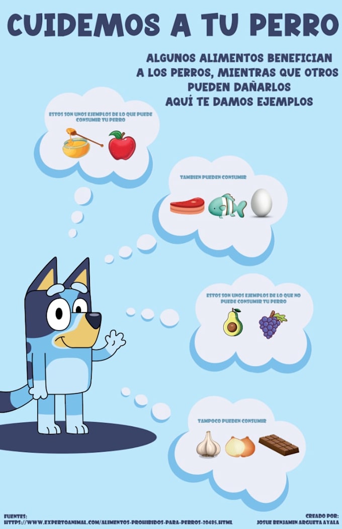 create an eye catching custom infographic design