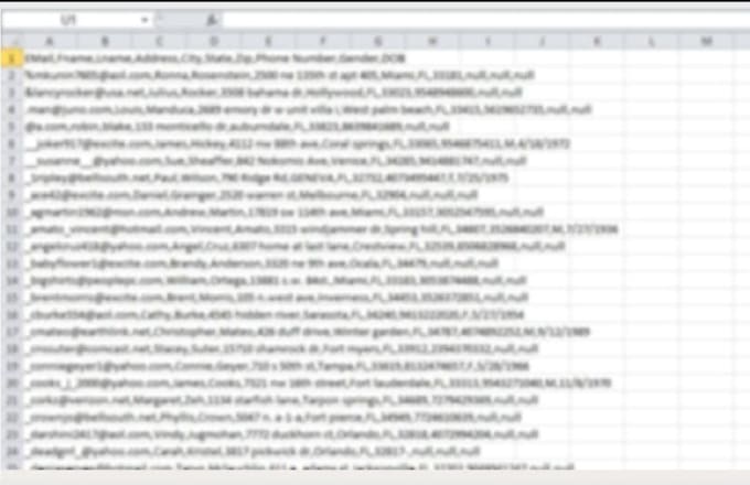 usa consumer email list and other info