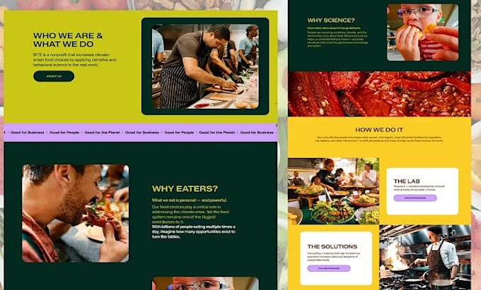 create squarespace website design or squarespace online store