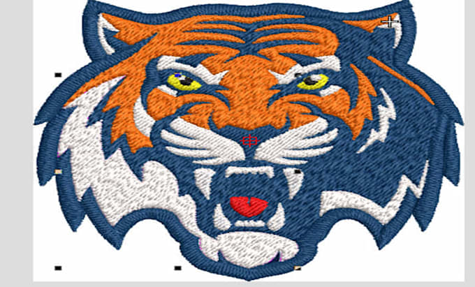 professionally digitize your embroidery design