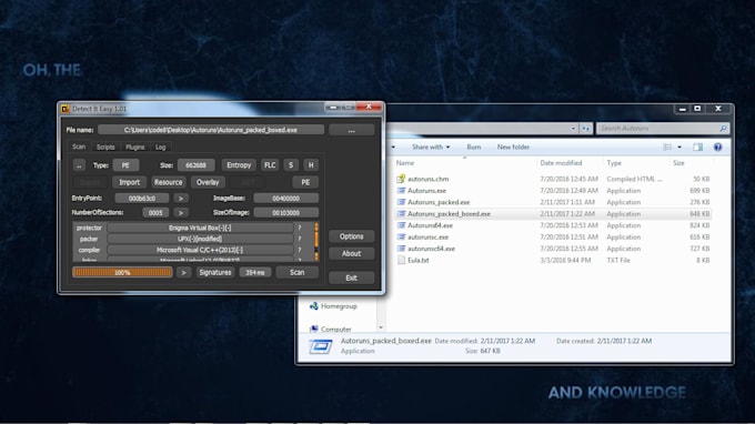 reverse engineer exe, dll, apk, analyze malware and perform binary analysis