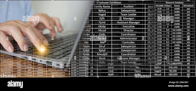 do professional data entry excel and copy paste work