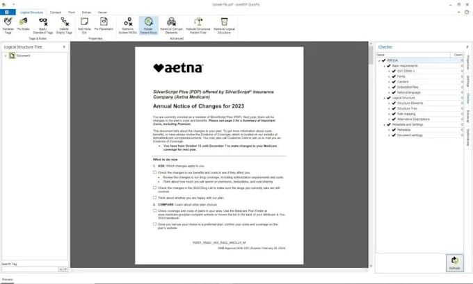 pdf accessibility remediation services