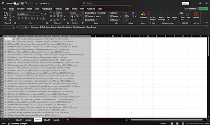 accurate data entry, data cleaning, and excel data formatting