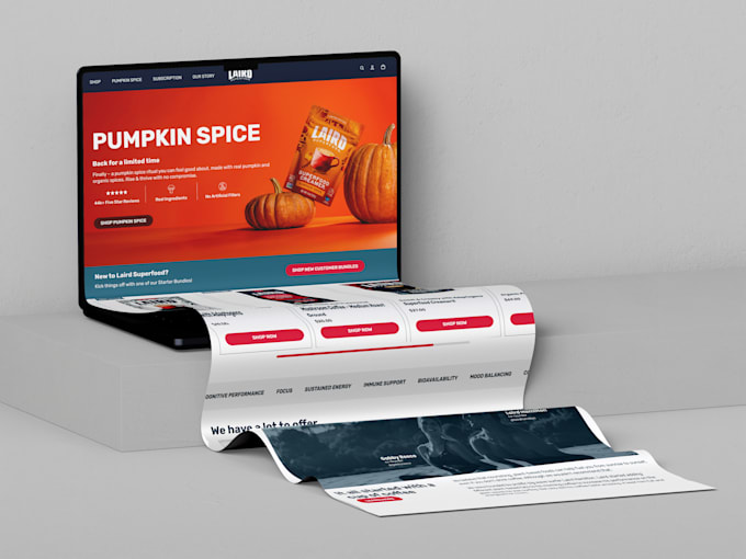 clone, revamp, and edit shopify websites using replo, pagefly, and gempages