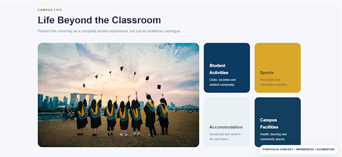build lms online educational website, elearning website wordpress school website