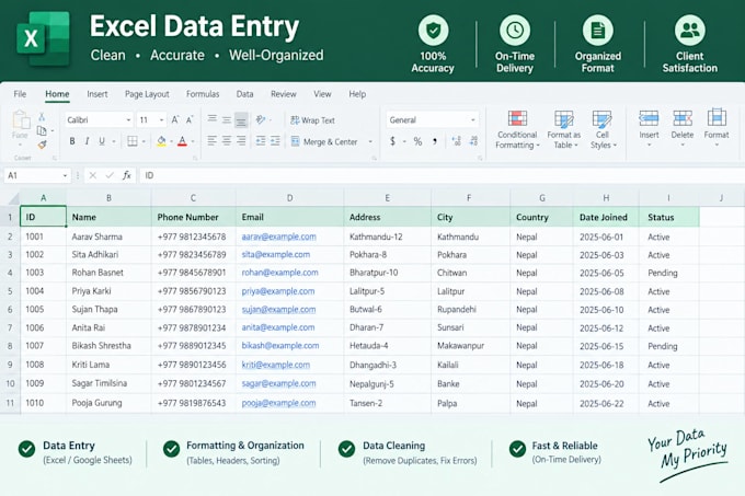 do data entry, typing, and excel work