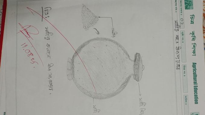 do accurate handwritten notes