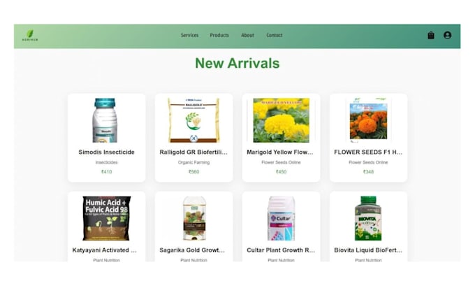develop a custom full stack web application