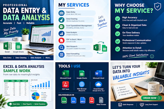 provide professional data entry and data analysis services