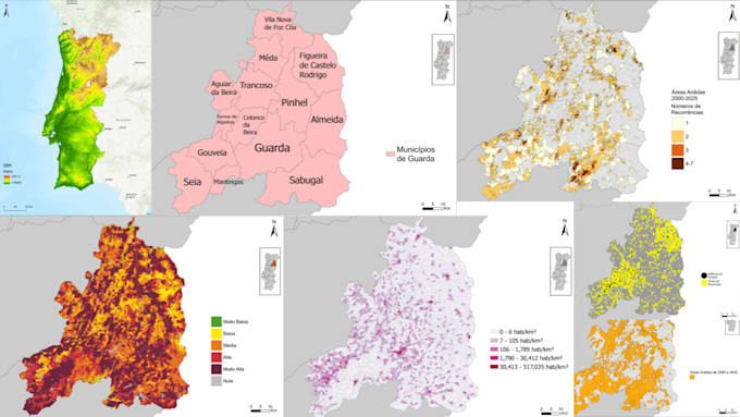 create professional gis maps and spatial analysis