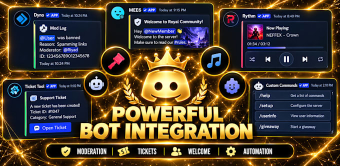 setup a professional discord server with bots