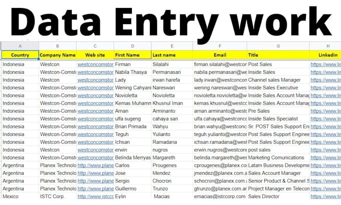 do data entry and web resarch