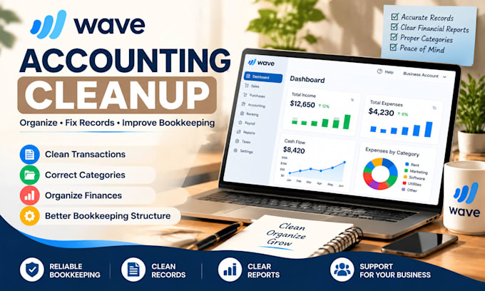 provide wave accounting cleanup and financial organization