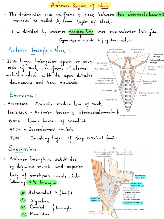 do online tutoring for making difficult medical knowledge into easy way