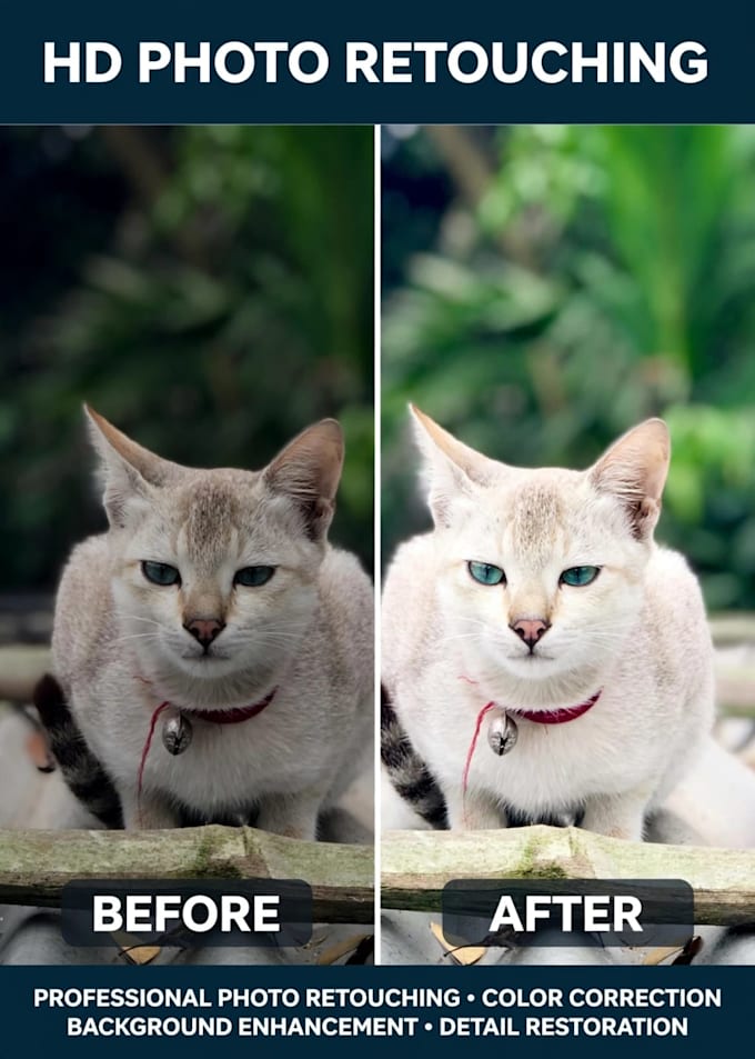 do professional photo editing HD and background removal
