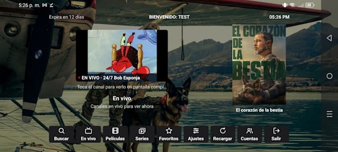 professionally rebrand android iptv ios iptv with admin panel