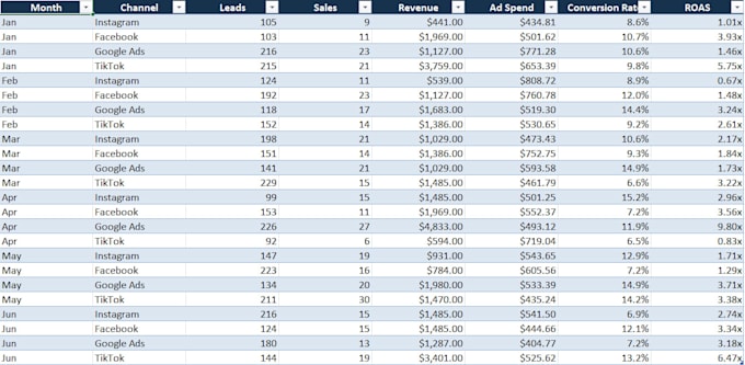 excel data entry and spreadsheet formatting