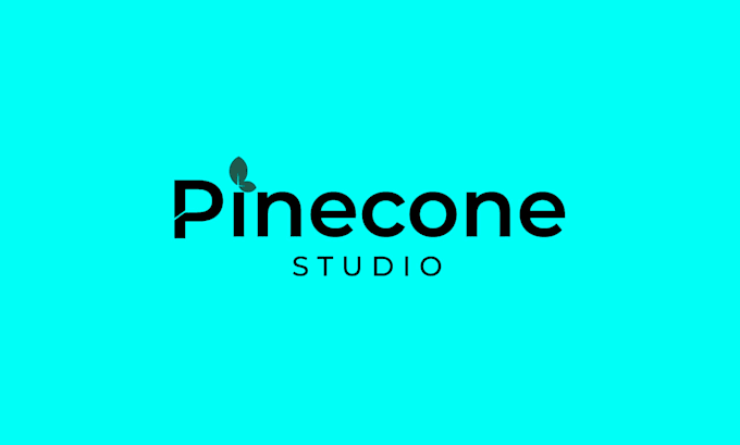 create a professional logo desgin and brand identy