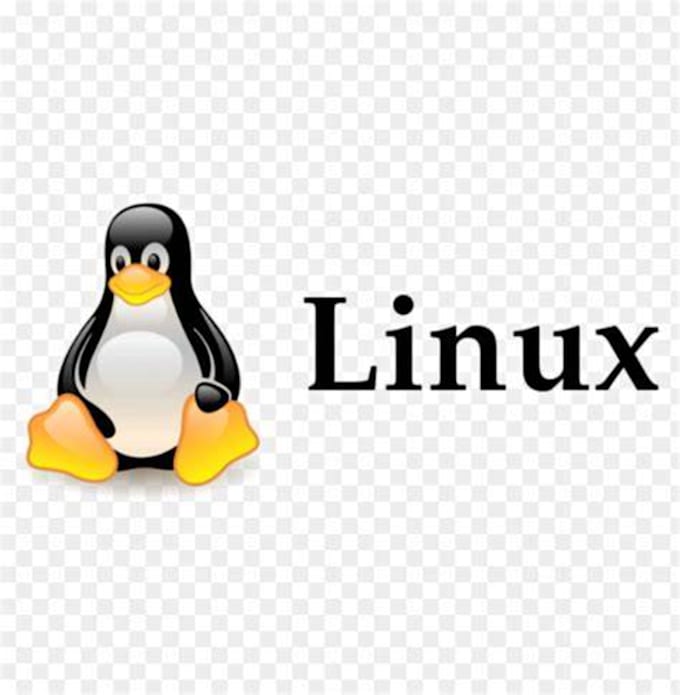 do android rooting and installation of custom rom and linux