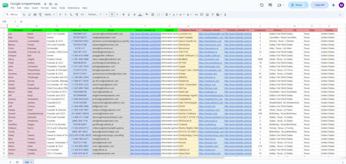 qualify niche targeted b2b prospects list create using apollo and google maps