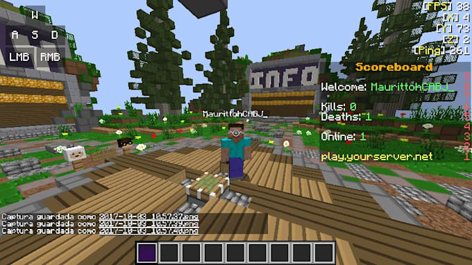 develop and setup a professional minecraft server