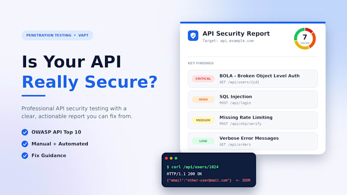 professional API security assessment and penetration testing
