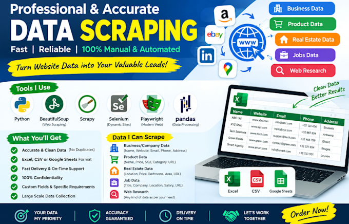 extract and organize web data from websites into excel