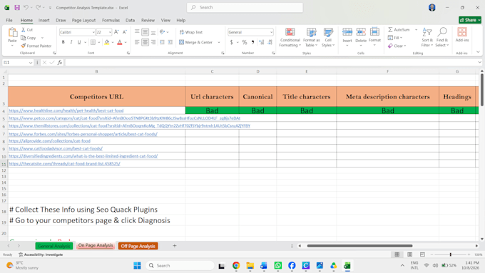 do SEO audit and optimization