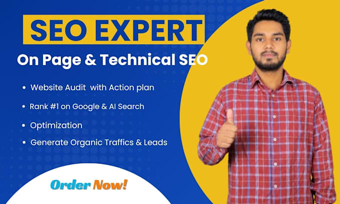 do website audit,on page and technical SEO with action plan