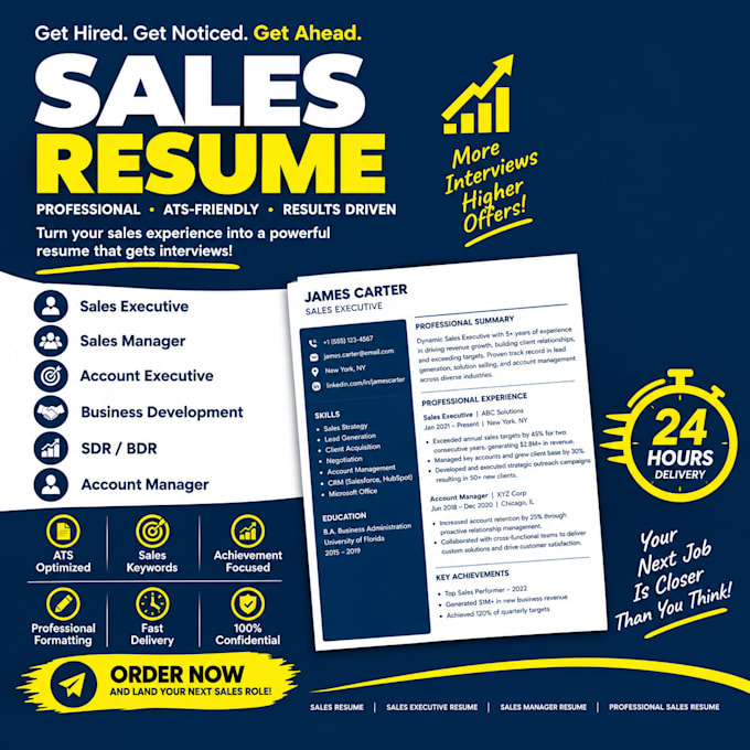 write a sales resume, sales executive resume in 24 hours
