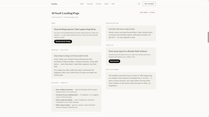 write professional website and landing page copy
