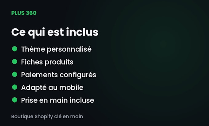 build a professional shopify store for your business