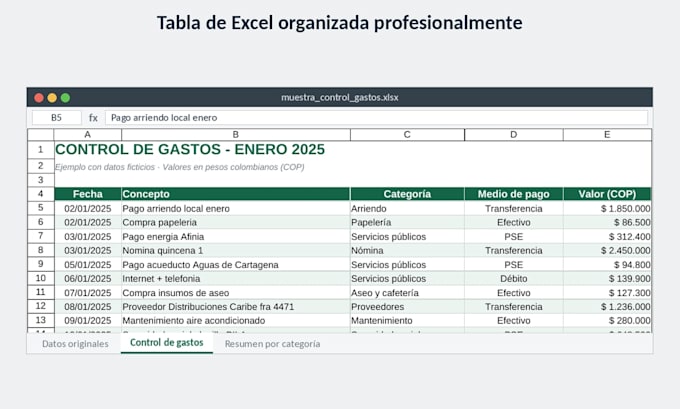 organizo datos en excel brindo apoyo administrativo