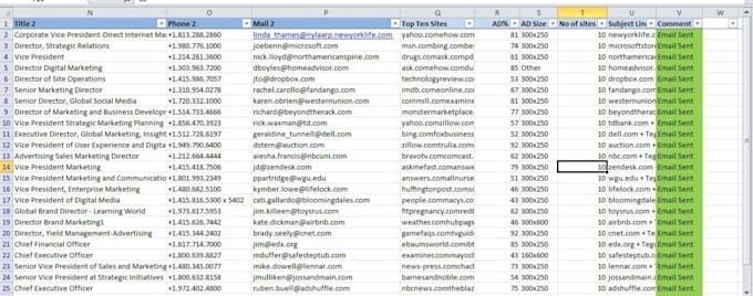 do accurate data entry, data collection, web scraping excel