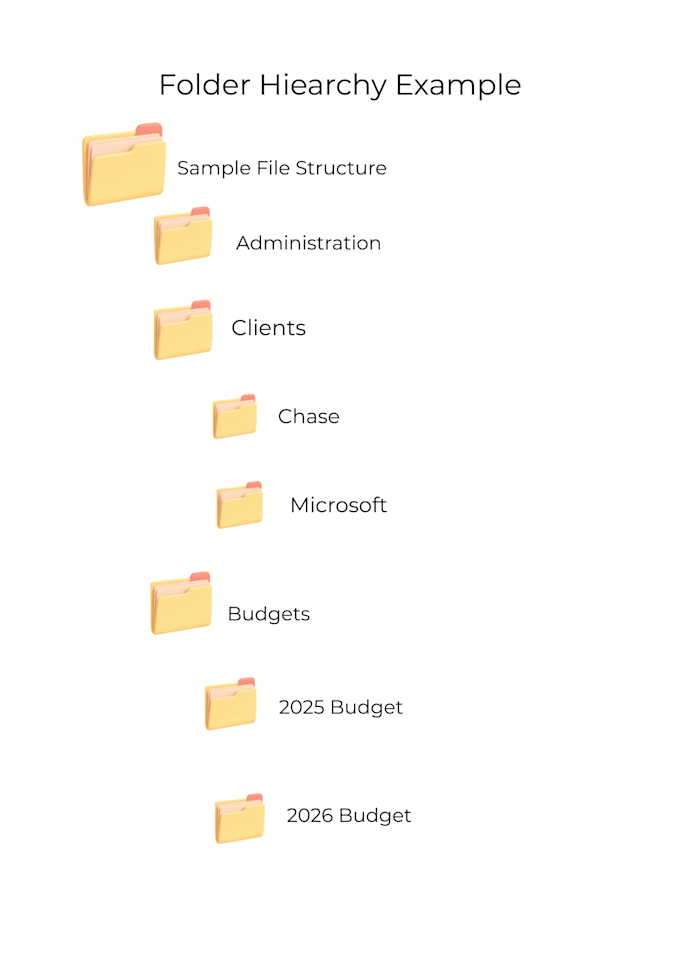 organize your digital files